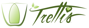 Trellis Transit Technologies, Inc.  logo