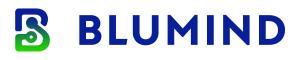 Blumind Inc.