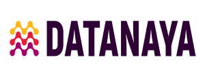 Datanaya Logo
