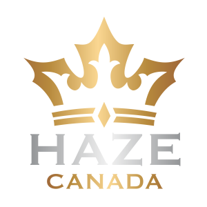 logo Haze Automotive