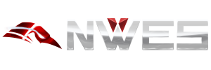 Northern World Entertainment Software Inc. Logo