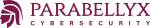Parabellyx Cybersecurity