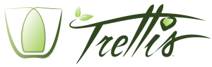 Trellis Transit Technologies Inc. logo